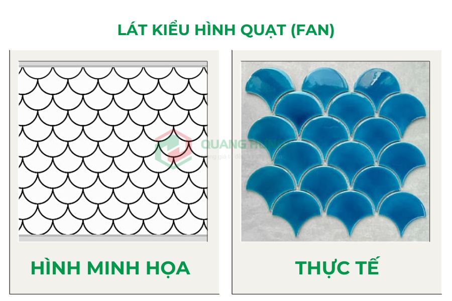 Lát kiểu hình quạt (Fan)