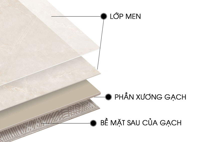 Cấu tạo chi tiết gạch men