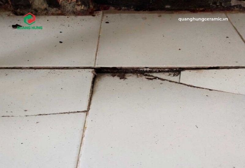 Nguyên nhân gây sụt lún nền móng