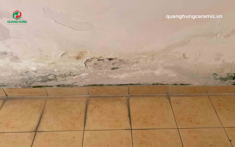 Hiện tượng thấm ngược từ kết cấu nền móng