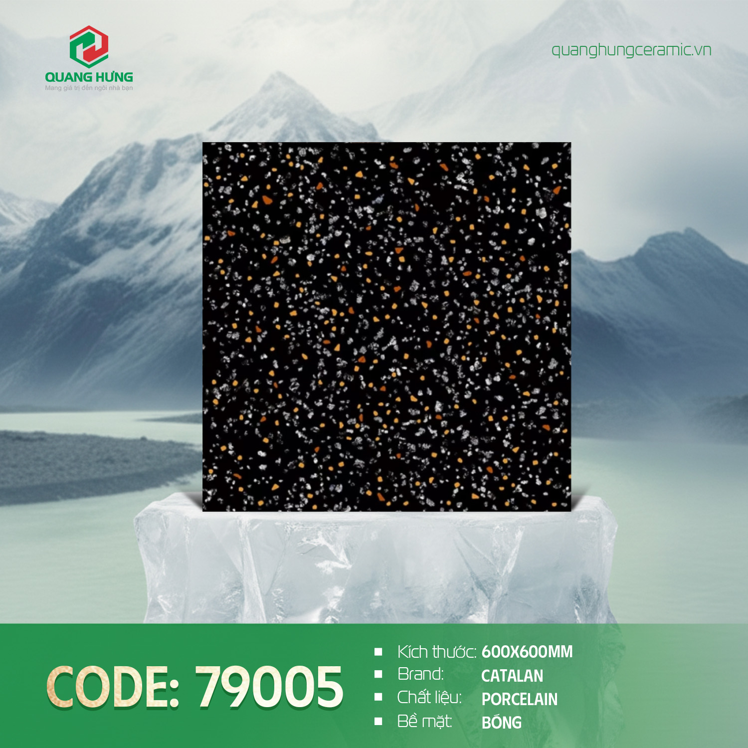 Gạch ốp lát màu đen mã 79005