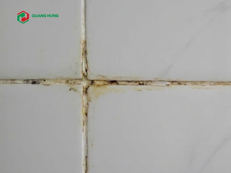 Ron gạch tường bị ố vàng